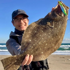 ヒラメの釣果