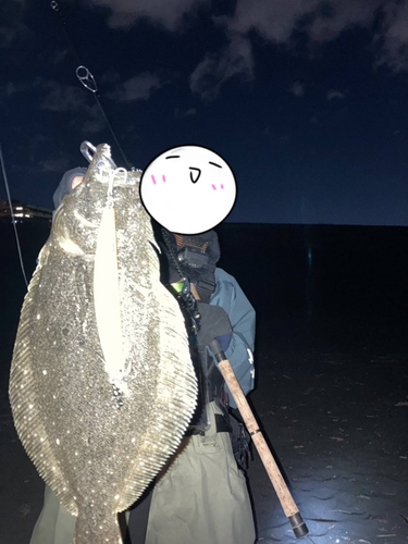 ヒラメの釣果