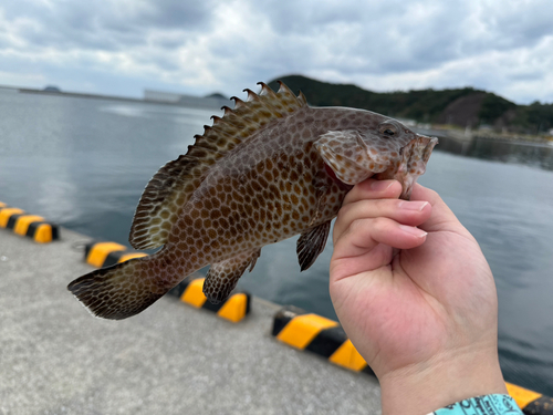 須口浦港