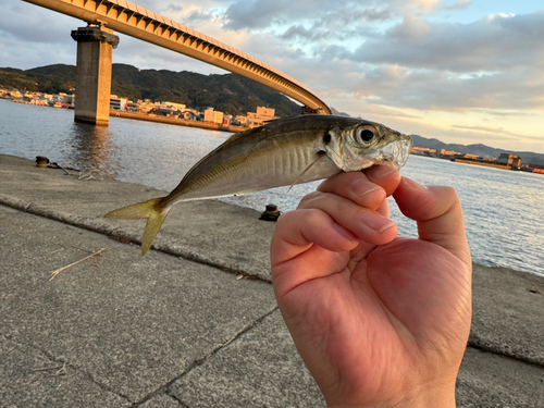 西岡水産前