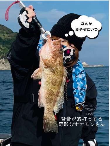 オオモンハタの釣果