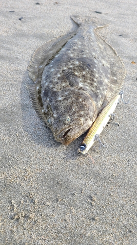 伊良湖サーフ