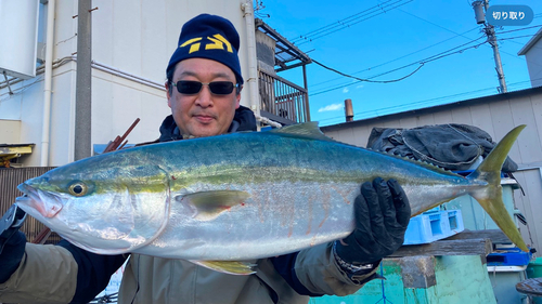 ブリの釣果