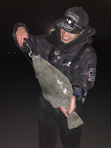 ヒラメの釣果