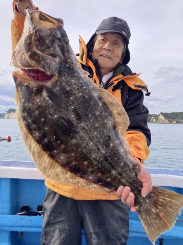 ヒラメの釣果