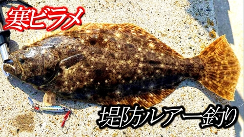 ヒラメの釣果