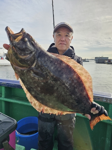 ヒラメの釣果