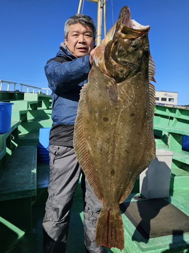 ヒラメの釣果