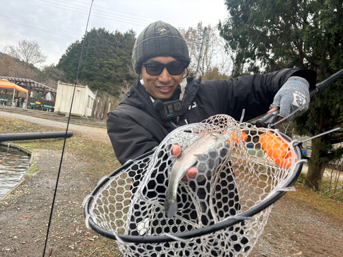 ニジマスの釣果