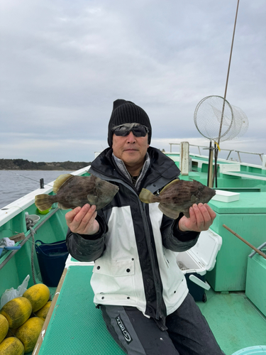 ヒラメの釣果