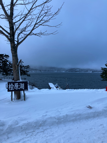 ワカサギの釣果