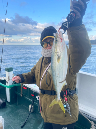 ハマチの釣果