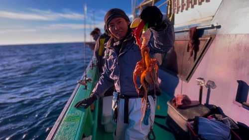 マダコの釣果