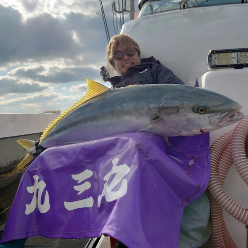 ヒラマサの釣果