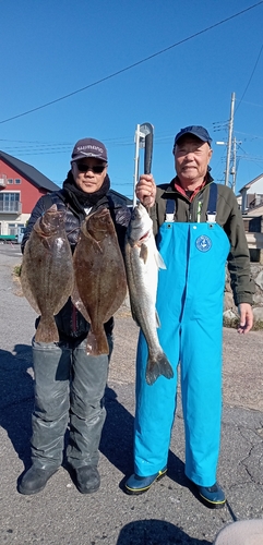 ヒラメの釣果