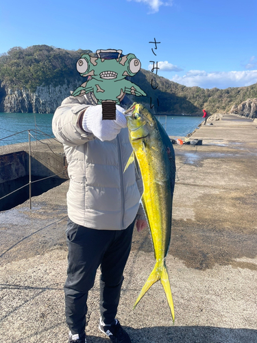 シイラの釣果