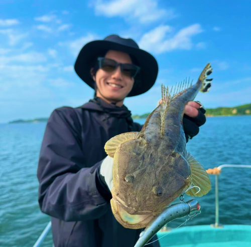 マゴチの釣果