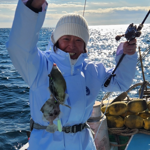 カワハギの釣果