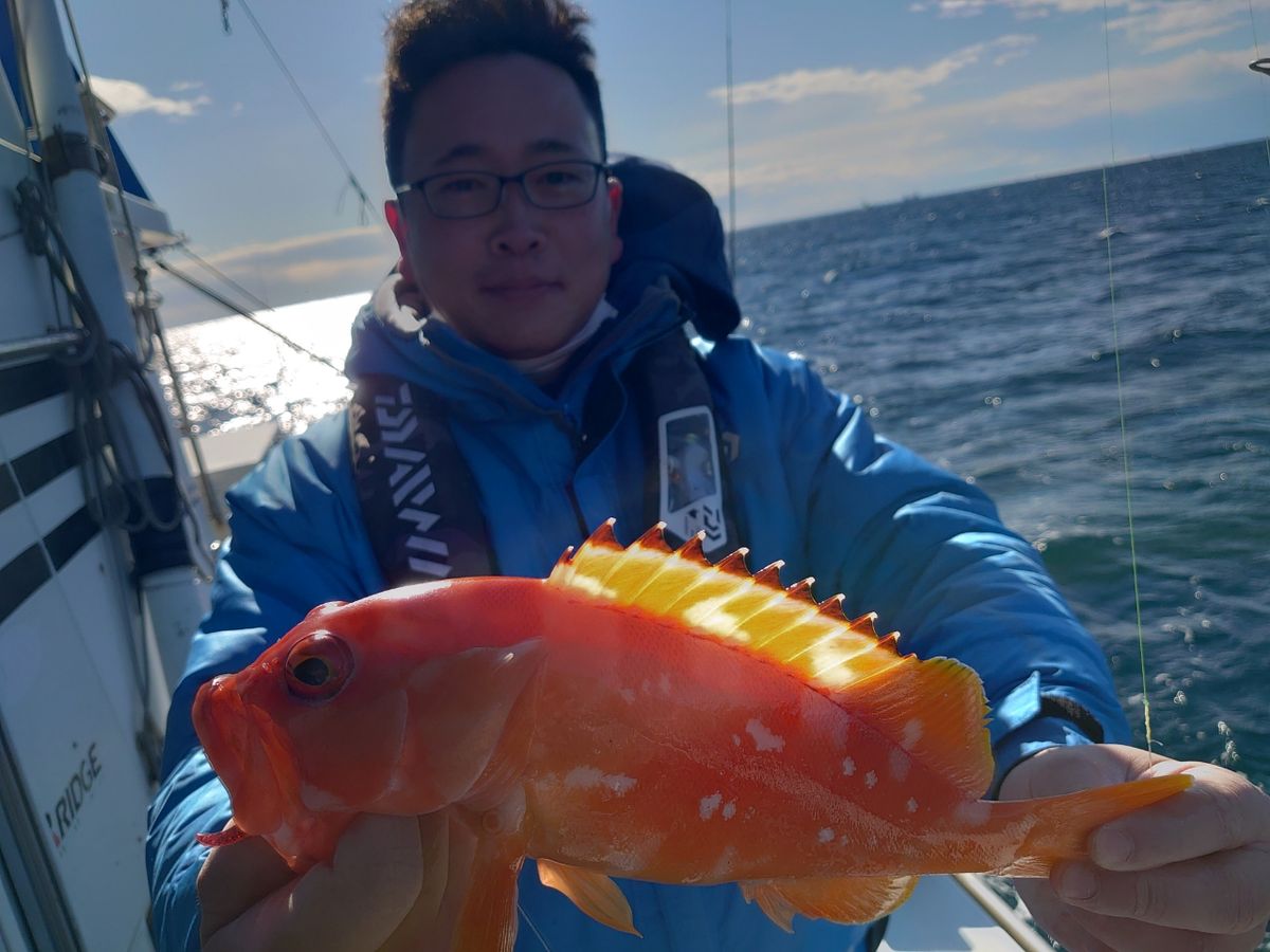 丸伊丸@長井港さんの釣果 2枚目の画像