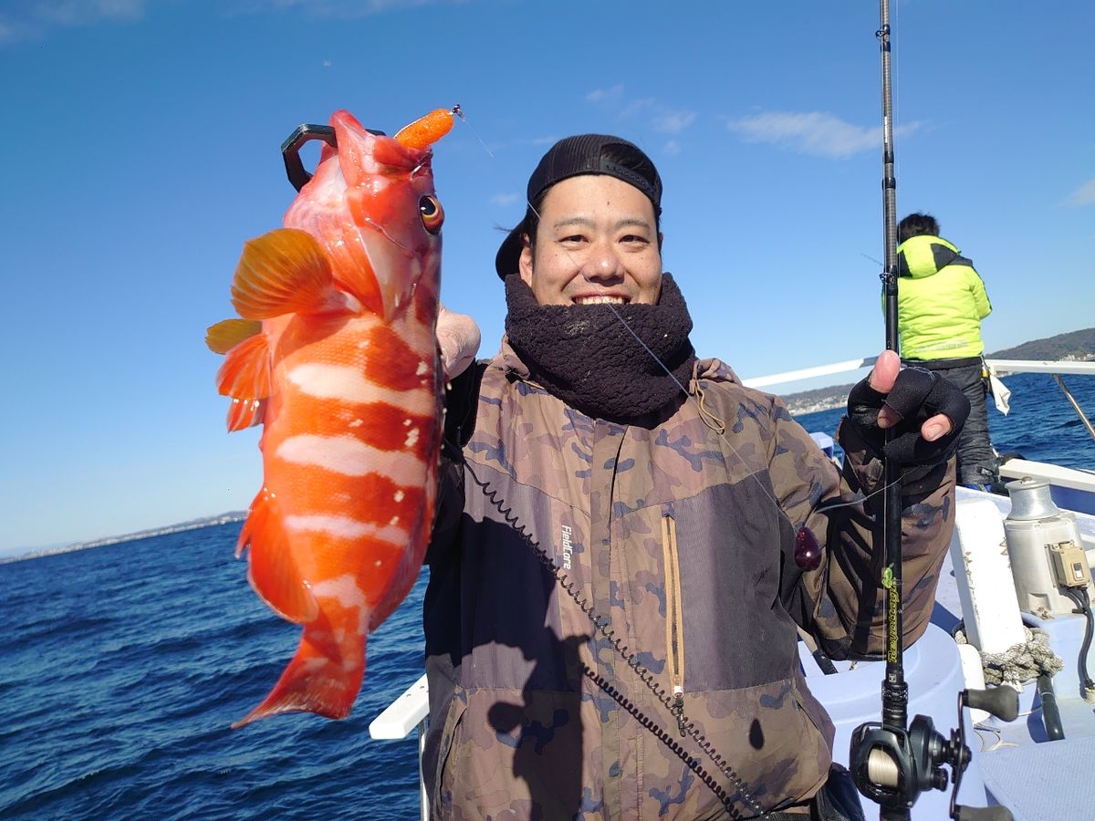 丸伊丸@長井港さんの釣果 3枚目の画像