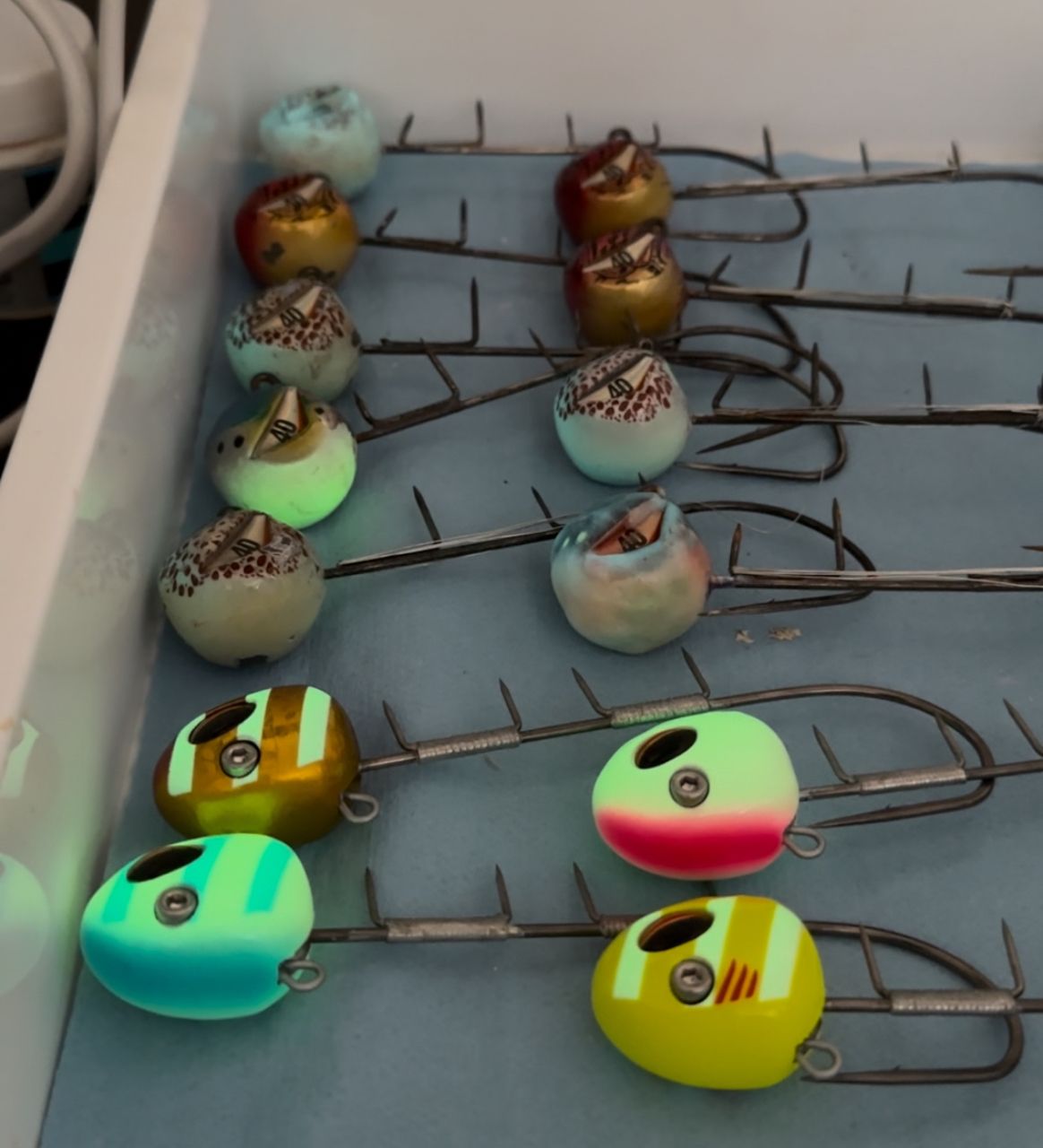 生田 @愛知さんの釣果 2枚目の画像