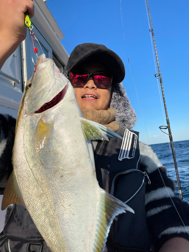 カンパチの釣果