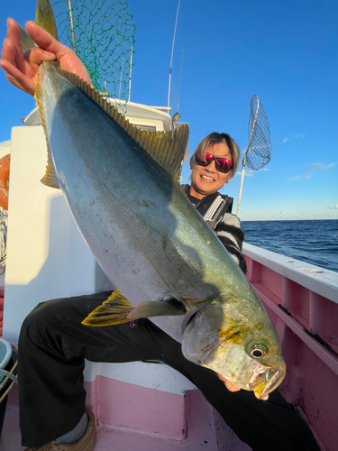 ヒラマサの釣果