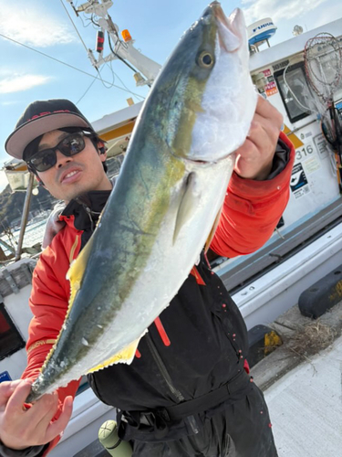 ワラサの釣果