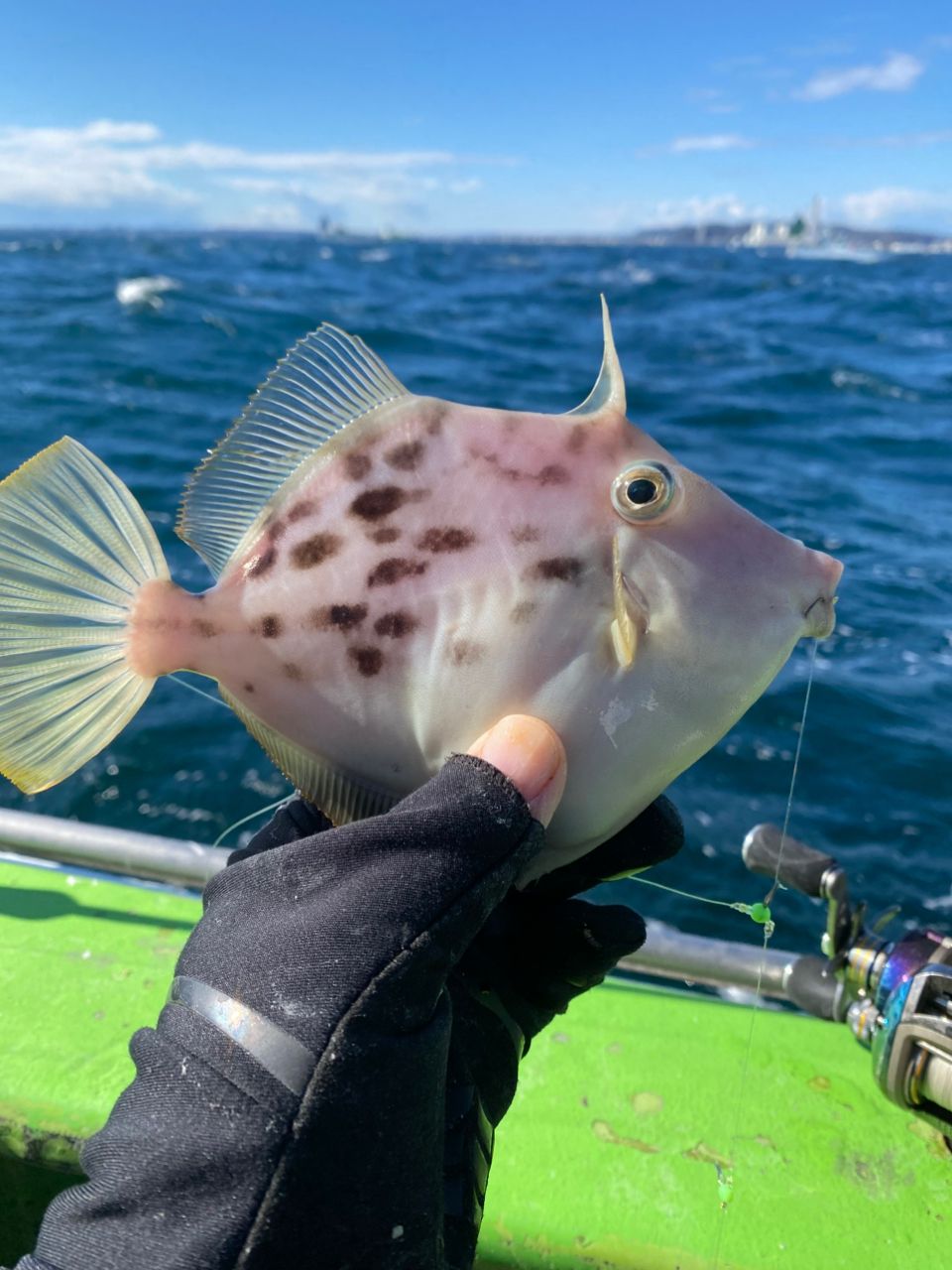 出張竿師さんの釣果 1枚目の画像