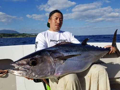 イソマグロの釣果