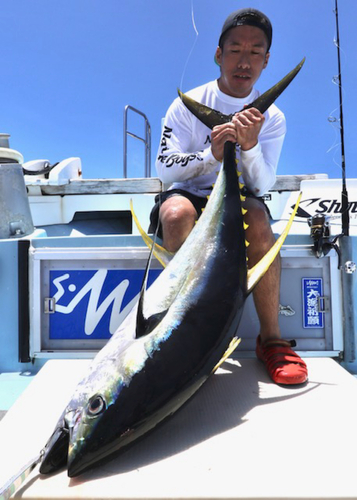 キハダマグロの釣果