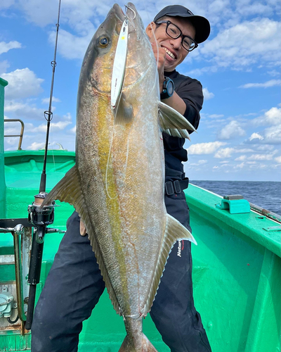 カンパチの釣果