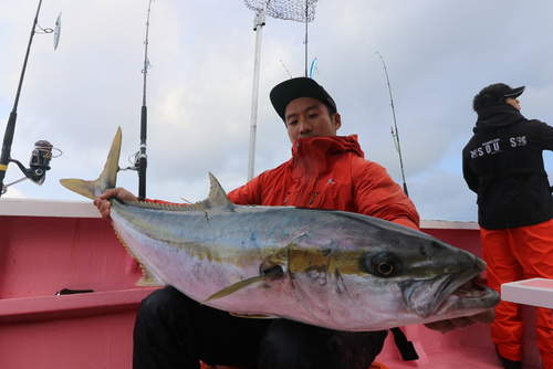 ヒラマサの釣果