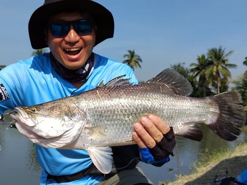 バラマンディの釣果