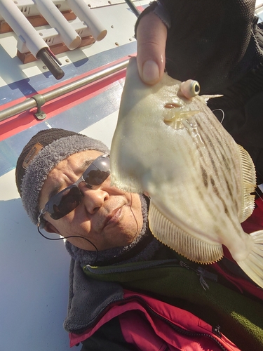 カワハギの釣果