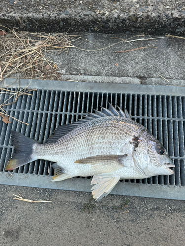 暁ふ頭公園