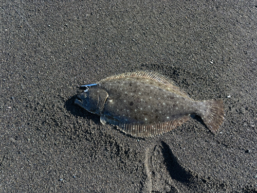 茅ヶ崎海岸