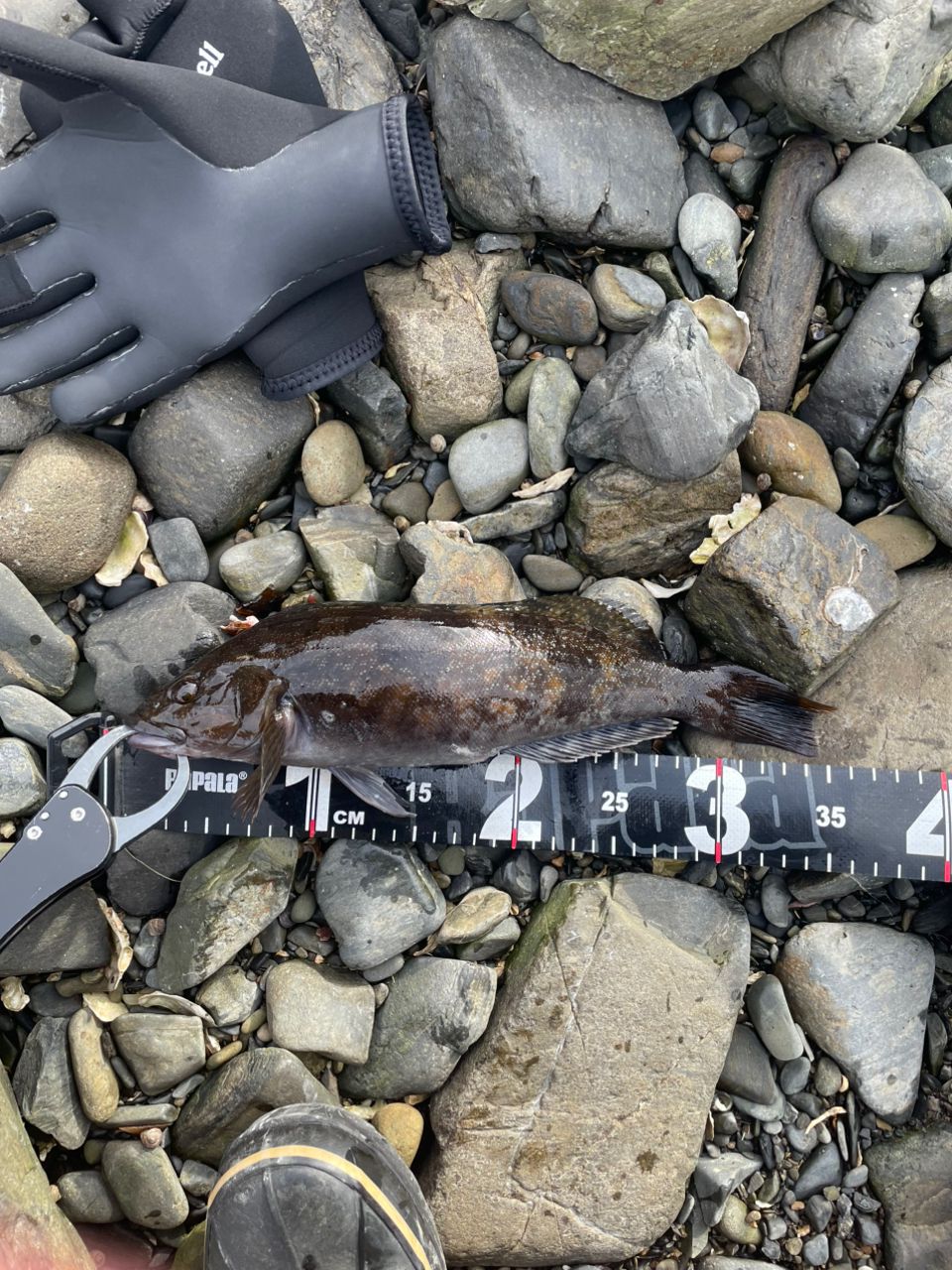 【未使用】アピア ブルートTP 92H APIA『Brute'TP』！トーナメント仕様のハイエンドロック