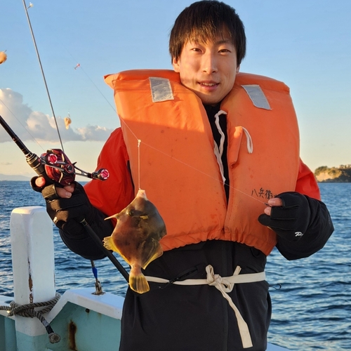 カワハギの釣果