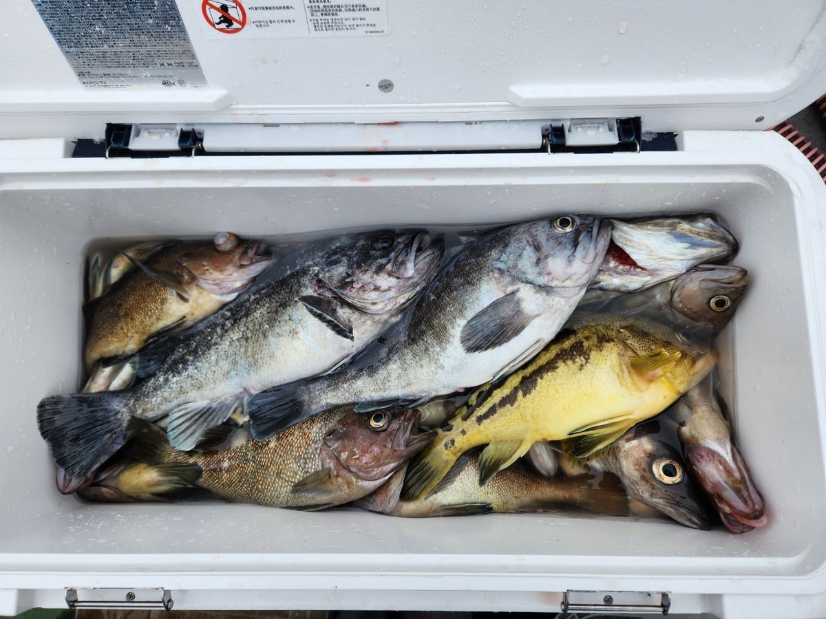 ちかおさんの釣果 1枚目の画像