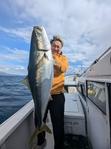 ブリの釣果