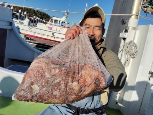 マダコの釣果