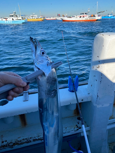 タチウオの釣果