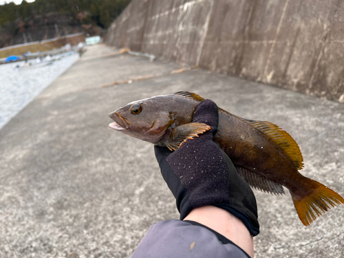 菅の浜漁港