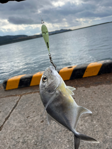 川内港導流堤