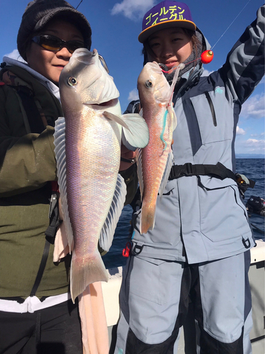 シロアマダイの釣果