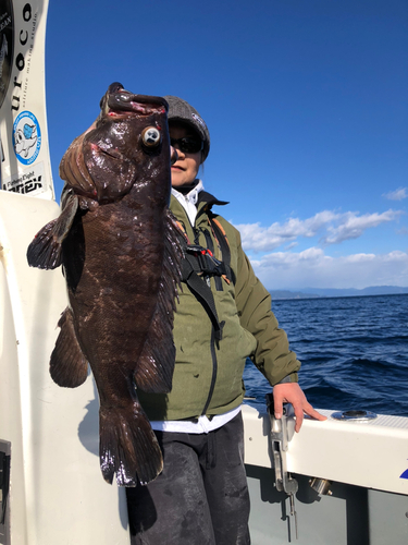 マハタモドキの釣果