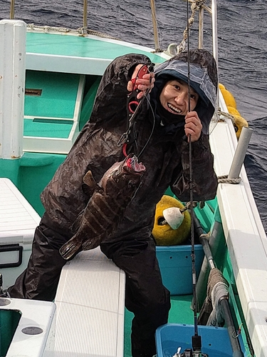 マハタモドキの釣果