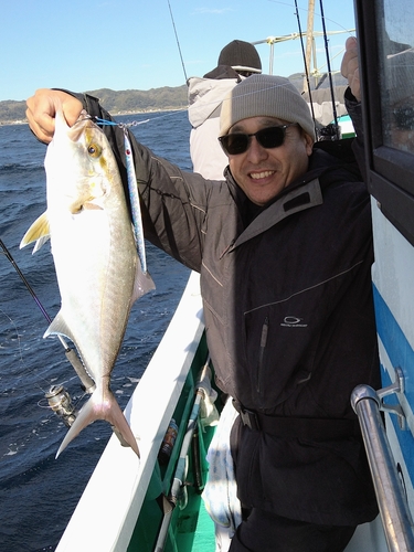 カンパチの釣果