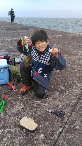 カワハギの釣果